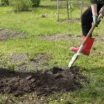 Záhradkárka zakopáva do pôdy zvyšky rastlín