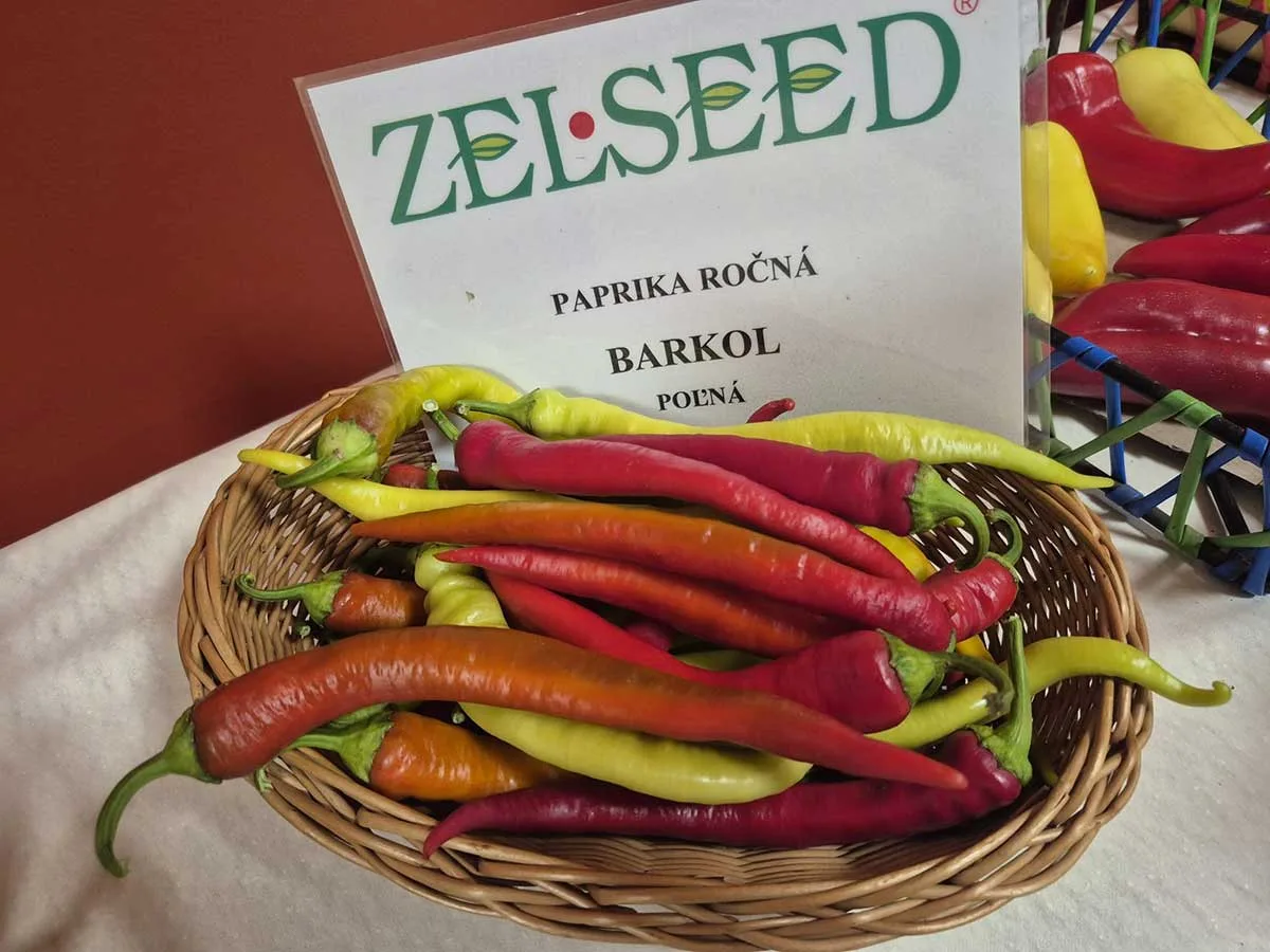 Zdroj: Zelseed