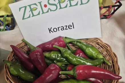 Paprika Korazel