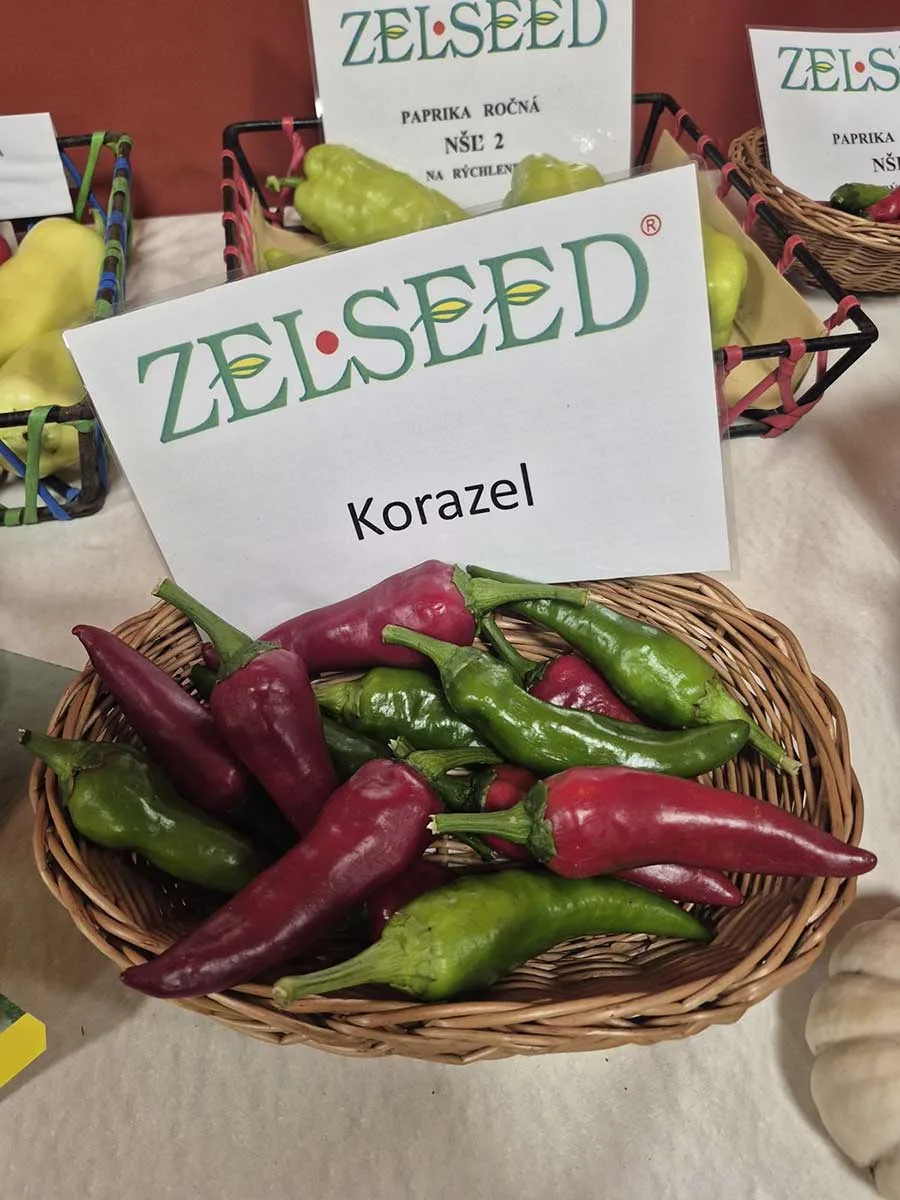 Paprika Korazel