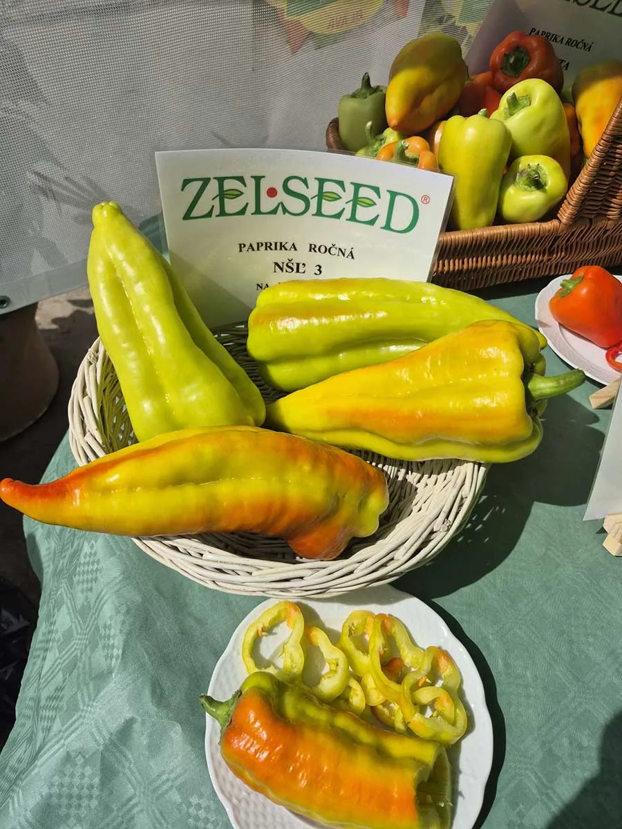 Paprika ročná od Zelseed