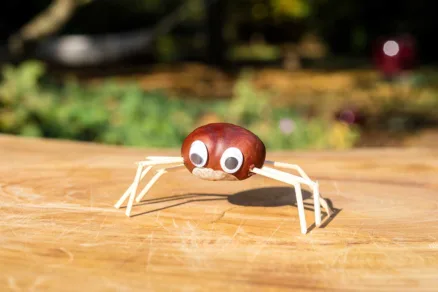 Panáčik z pagaštanov v tvare pavúka