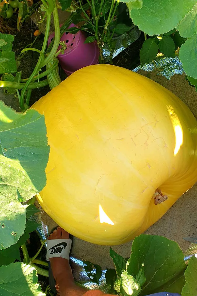 Nároky na vodu boli v horúcich letných dňoch obrovské. 