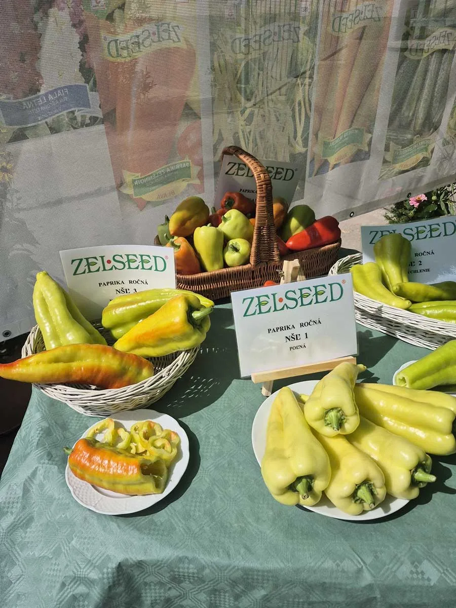 Výstava a ochutnávka vypestovaných paprík v Zelseed