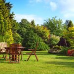 Ako udržať okrasné rastliny zdravé: 18 najčastejších chorôb a škodcov